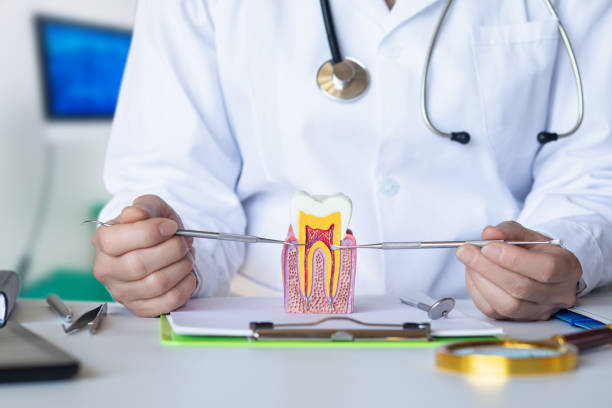 Best Emergency Treatment for Oral Infections in Juneau, WI